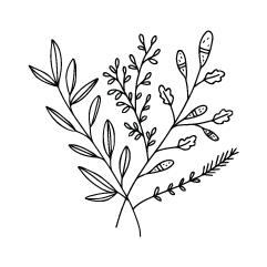 Decorative Image